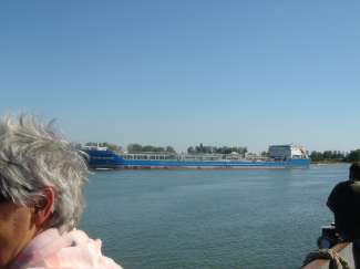 DSC08726.JPG